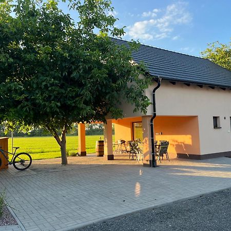 Rekreacni Dum U Jezer, Milovice 6 Villa Exterior foto