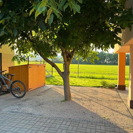 Rekreacni Dum U Jezer, Milovice 6 Villa Exterior foto